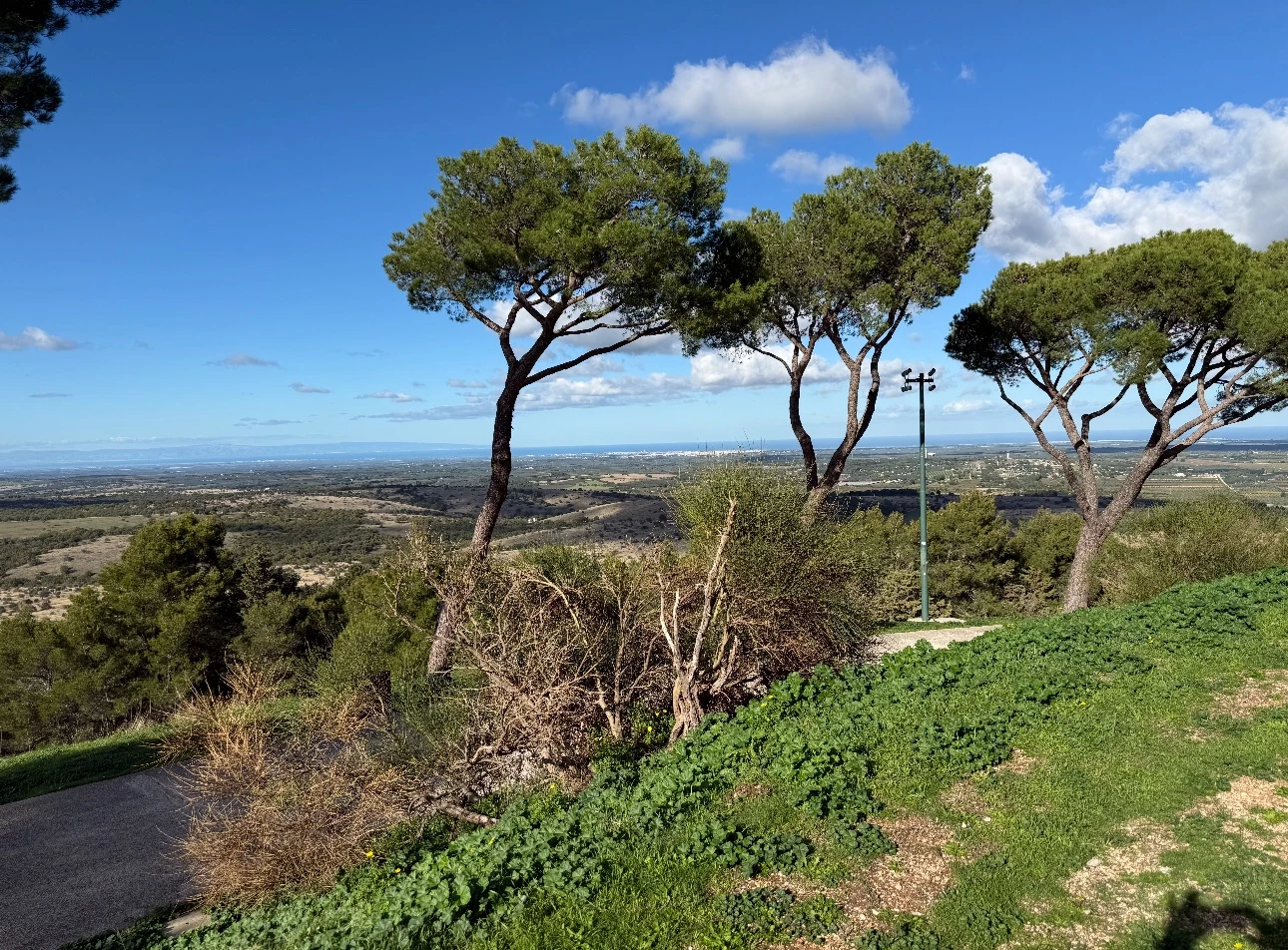 Capture d’écran . 2025-11-06 à 08.49.43